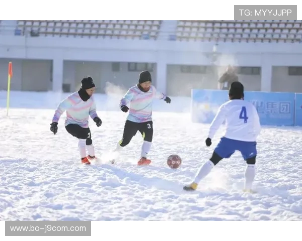 温州足球赛场热情澎湃 球迷欢呼助力球队冲锋陷阵